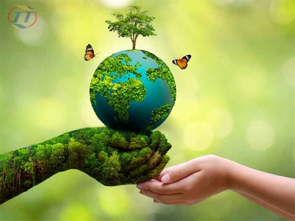 Nhấn vào ảnh để phóng to moi truong 1