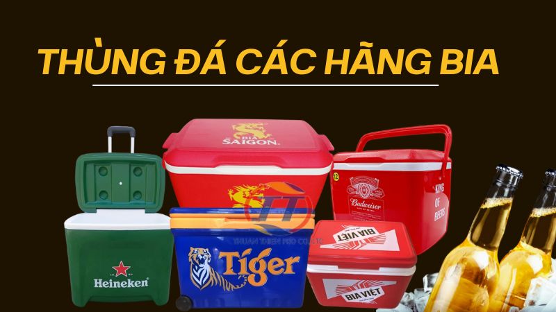 thung da cac hang bia